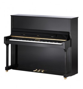 Photo W. Hoffmann Tradition T128